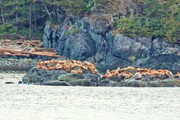 a body of water with a mountain in the background