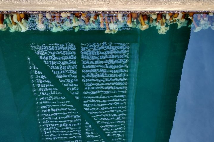 a close up of a green wall