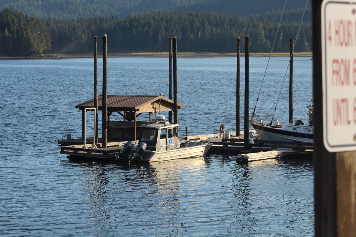 Two boats docked at a marina with a forested backdrop and lake.