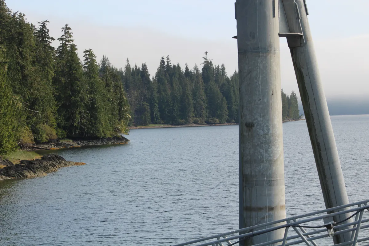Misty coastal scene with trees and water, metal beams in foreground.